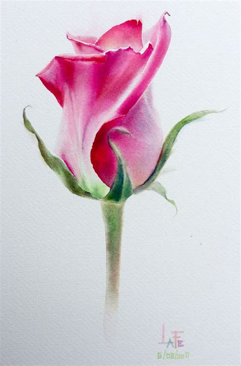 Watercolor without drawing "Rose" by LaFe | Watercolor rose, Flower art, Watercolor flower art