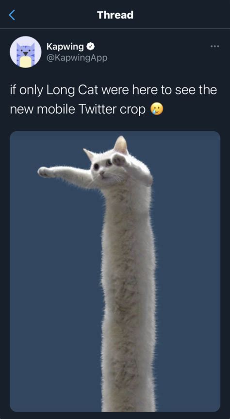 Twitter Crop Update: New Image Sizes for 2021