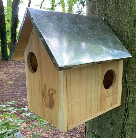 Squirrel Nest Box With Metal Roof By Garden Selections ...