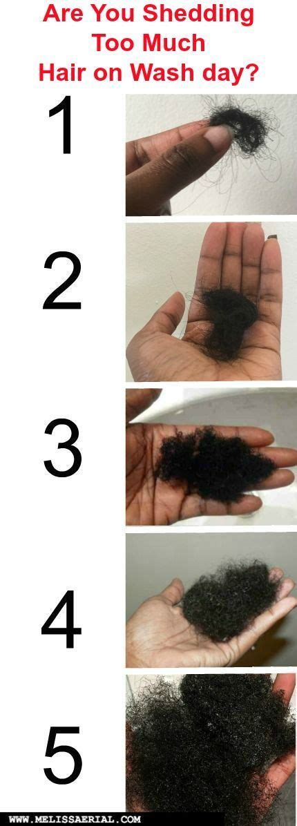 Hair Shedding And Hair Growth For African American Who Are Natural ...