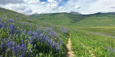 Top 6 Easy Crested Butte Hiking Trails Close to Town