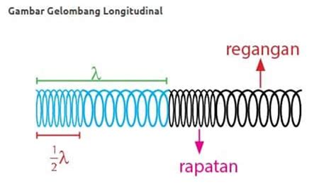 Pengertian Gelombang, Jenis, Rumus, & Contoh Soal | Maukuliah Blog