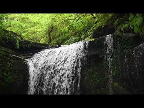 Relaxing Waterfall Sounds for Sleep, Study 8 Hours Water Sounds ASMR ...