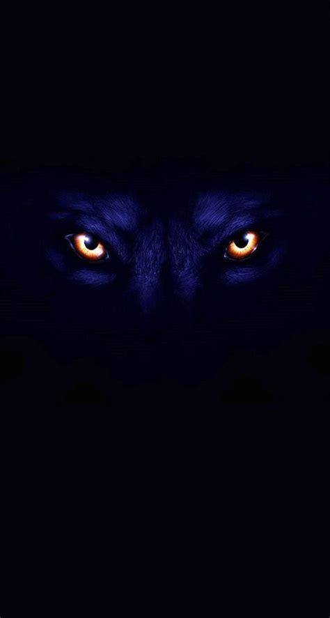 Dark Wolf Wallpaper Iphone - Wolf Dark | Carisca Wallpaper