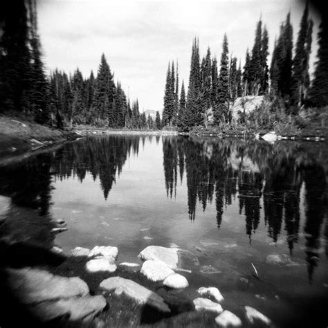 Forest Photo Black White Landscape Decor Holga Nature - Etsy Canada