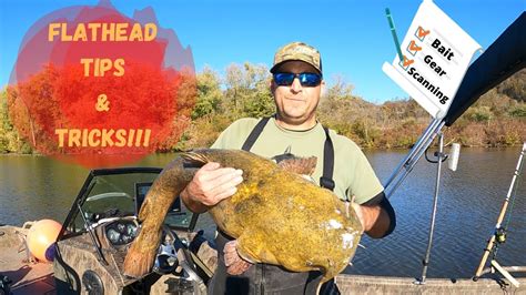 TIPS and Tricks for Targeting FLATHEAD Catfish - Fishing