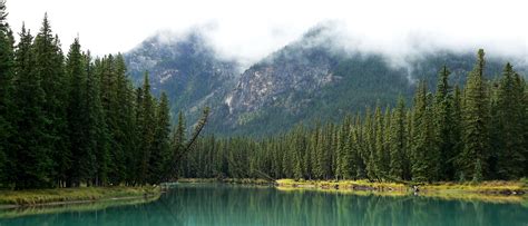 Banff, boreal forest, trees, lake, Canada, generic landscape - pc - skeeze - Pixabay - Center ...