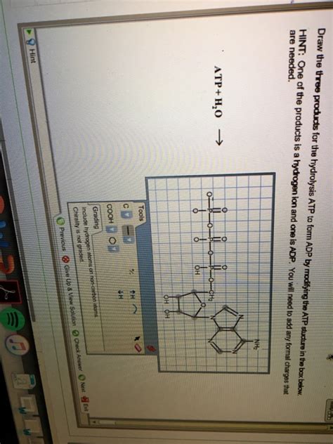 Solved Draw the three products for the hydrolysis ATP to | Chegg.com