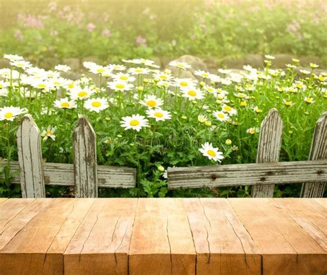 Wood table top on white flower with fence in garden background. For create produ #Sponsored , # ...