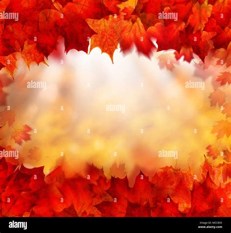 Red Fall Leaves Background