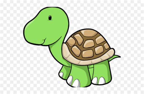 Baby Turtle Clipart - Baby Turtle Cartoon Png, Transparent Png - vhv