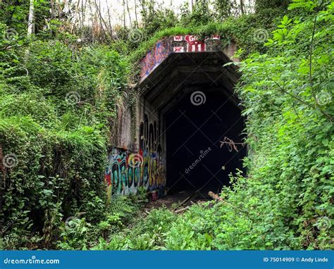 Abandoned Train Tunnel with Graffiti Stock Image - Image of bushes, humboldt: 75014909