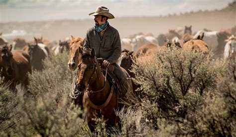 95+ Cowboy Horse Names - Organized by Horse Color - Helpful Horse Hints