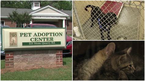 Alamance County animal shelter in need of repair | myfox8.com