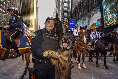 The New York City Police Foundation unveils the NYPD Canine and Friends ...