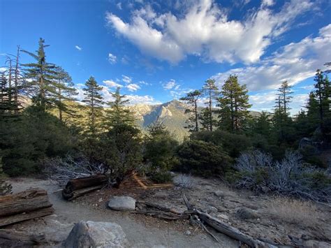 12 Idyllwild Trails With Incredible Views | Blog