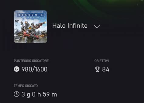 Do Halo Infinite xbox game pass hour played sum with the steam version ...