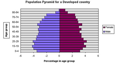 Population pyramids - GEOGRAPHY MYP/GCSE/DP