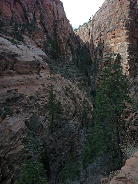 Refrigerator Canyon: Angels Landing Trail, Zion National Park, Utah