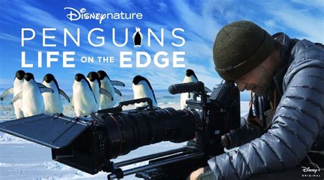 Movie Review: Disneynature "Penguins: Life on the Edge" - LaughingPlace.com