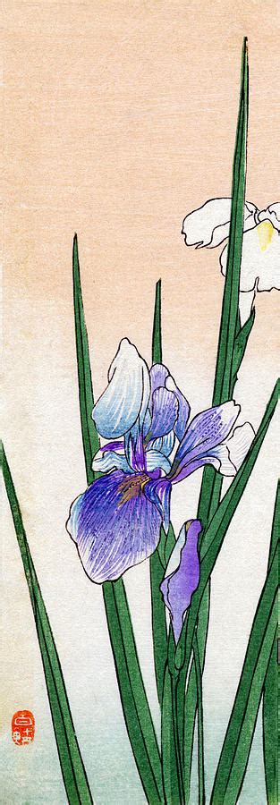 19th C. Japanese Iris Painting by Historic Image - Pixels