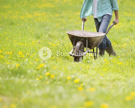 Detail of farmer pushing wheelbarrow in the field Royalty-Free Stock Image - Storyblocks