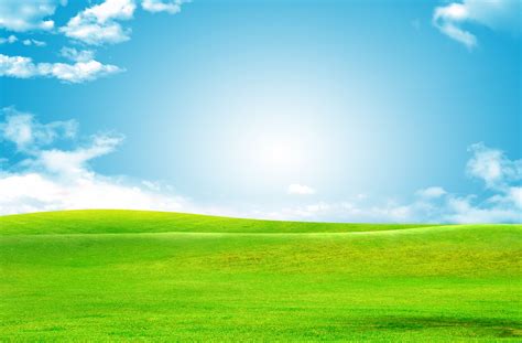 Blue Sky, Green Grass Background