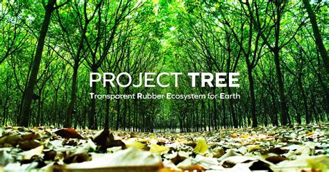 PROJECT TREE