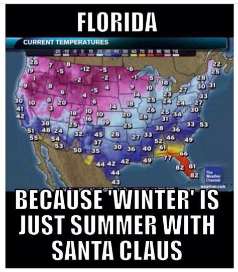 28 Florida Cold Weather Humor ideas | florida, florida funny, humor