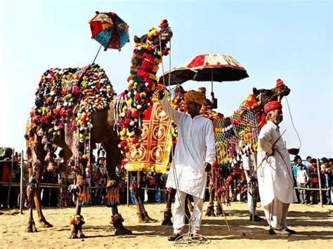 Pushkar Mela Rajasthan 2018 | Pushkar Fair | Camel Festival in Asia