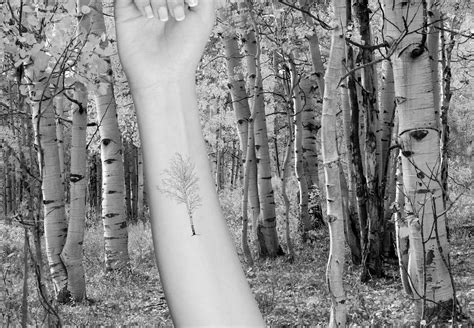 Birch Tree Temporary Tattoo set of 3 - Etsy