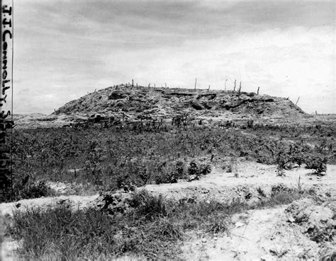 Sugar Loaf Hill Survival: U.S. Marines in the Okinawa Campaign