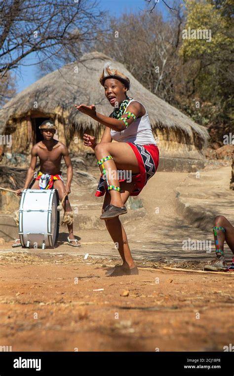 Zulu dancers in traditional costume, dancing the Ingoma warrior dance. Creda Mutwa village ...