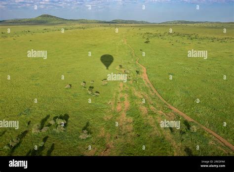 African Safari Landscape Stock Photo - Alamy