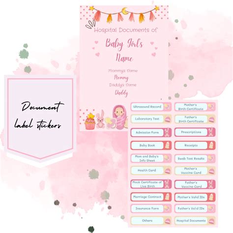 Baby Girl Pink Editable Hospital Documents Sticker Labels - Etsy