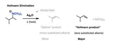 The Hofmann Elimination - Why Are "Less Substituted"Alkenes Favored?