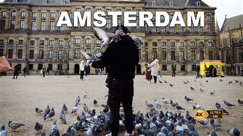 🇳🇱 AMSTERDAM, Walking tour in the Iconic and Vibrant City. November 2023. - YouTube