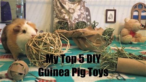 How to Make Your Own Toys for Your Guinea Pigs - YouTube