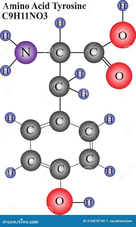 Molecular Structure of Tyrosine Stock Illustration - Illustration of ...