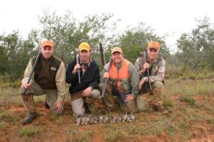 South Texas – Wild Bobwhite Quail – Gordie White Worldwide Safaris