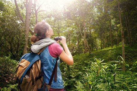 Why Ecotourism Matters in Australia | Jervis Bay Wild