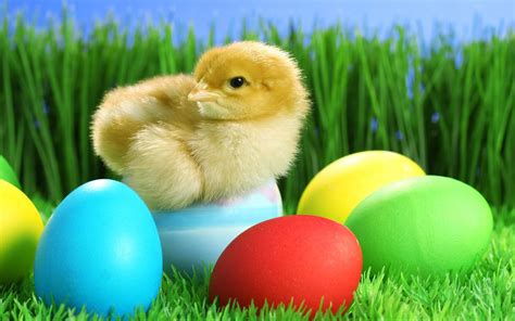 Beautiful Wallpapers for Desktop: Beautiful Easter Wallpapers