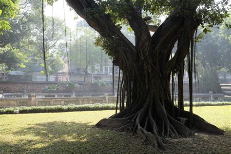 Photo Walk Around Hanoi – Part 3 – Randomwire