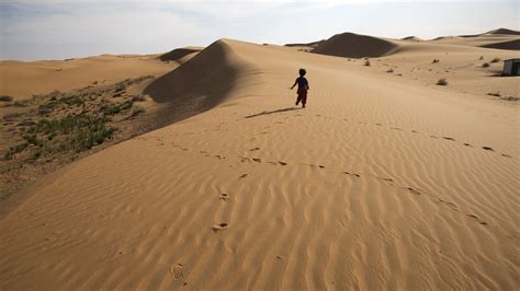 Living in China’s Expanding Deserts - The New York Times