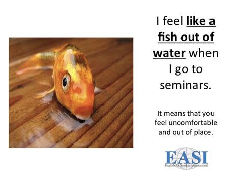 Like a fish out of water - Learning English Matters