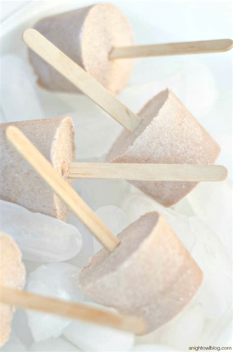 Chocolate Frosty Popsicles - A Night Owl Blog