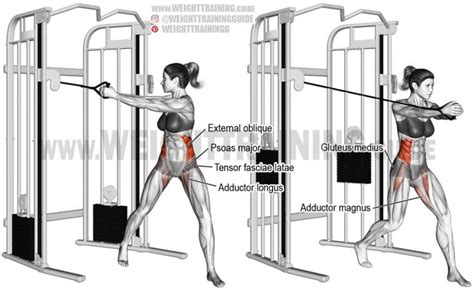 Cable twist exercise instructions and video | Weight Training Guide ...