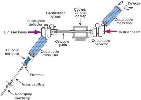 Quadrupole Mass Spectrometer Diagram Of Instrument