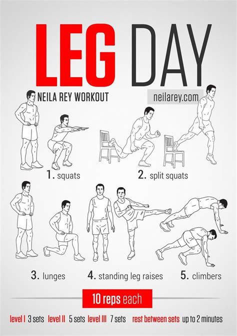 42+ At home full leg workout six pack abs | absworkoutcircuit