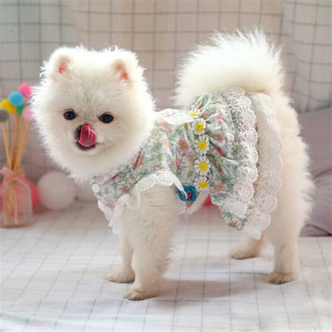 Pet Dog Clothing Teddy Pomeranian Dog Cute Dress Floral Dog Clothes ...